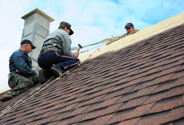 Best Roof Gutter Cleaning  in Clear Lake, WI